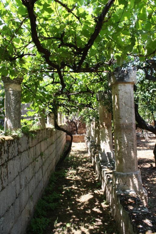 Masseria Maccarone Φαζάνο Εξωτερικό φωτογραφία