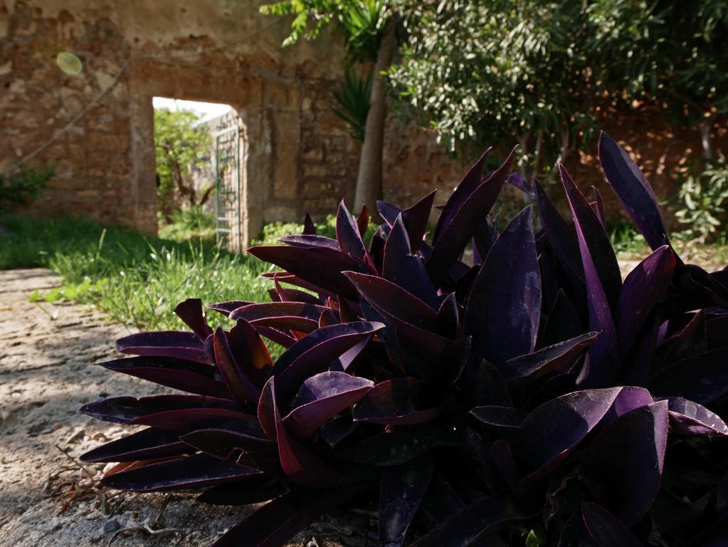 Masseria Maccarone Φαζάνο Εξωτερικό φωτογραφία